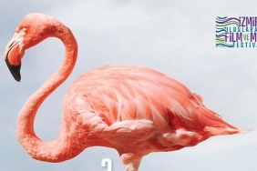 kristal-flamingolar-ucuncu-kez-sahiplerini-bulacak.jpg