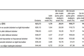 tuik-tarim-urunleri-uretici-fiyat-endeksi-tarim-ufe-yillik-%10677-aylik-179-artti.jpg