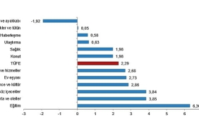 tuik-tuketici-fiyat-endeksi-tufe-yillik-%5051-aylik-229-oldu.jpg