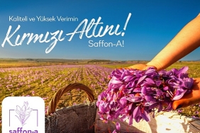 turkiyede-bir-ilk-safran-uretim-girisimi-fonlaniyor.jpg