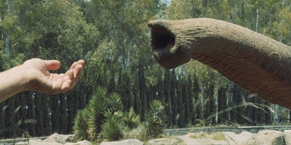 İstanbul Modern Sinema'da Unutma Biçimleri