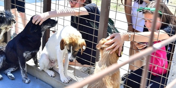 İzmirliler PAKOFEST'te patili dostlarla buluştu