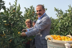 2023-24-sezonunda-narenciye-rekoltesinde-rekor-artis.jpg