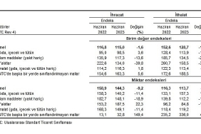 tuik-ihracat-birim-deger-endeksi-16-azaldi.jpg