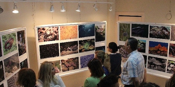 EÜ Fen Fakültesinden “Bilimin Görüntüleri: Fotoğraf Sergisi"
