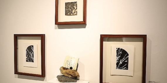 Misi'nin Florasını Sanata Yansıttılar