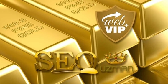 SEO Uzmanı, SEO Danışmanı Nedir?