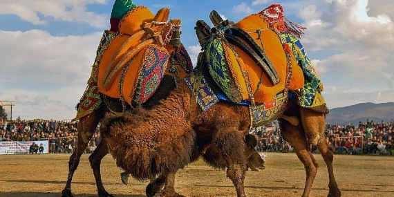 Körfezin incisi burhaniye 1. ulusal fotoğraf yarışması sonuçlandı