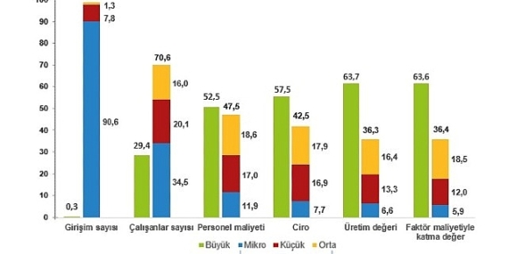 Küçük ve Orta Büyüklükteki Girişim İstatistikleri, 2022