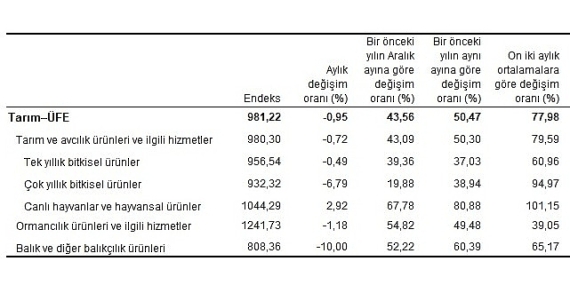 Tarım ürünleri üretici fiyat endeksi (Tarım-ÜFE) yıllık yüzde 50,47 arttı, aylık yüzde 0,95 azaldı