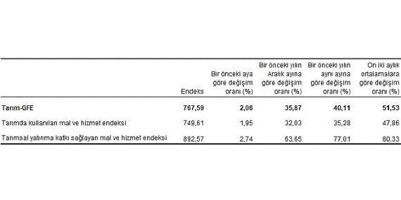 Tarımsal girdi fiyat endeksi (Tarım-GFE) yıllık yüzde 40,11, aylık yüzde 2,06 arttı