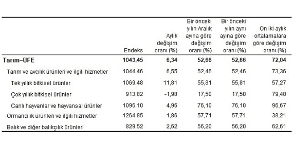 Tarım ürünleri üretici fiyat endeksi (Tarım-ÜFE) yıllık yüzde 52,66, aylık yüzde 6,34 arttı