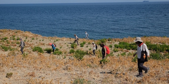 Türkiye'nin dört bir yanındaki kazılarla arkeolojik varlıklar gün yüzüne çıkarılıyor