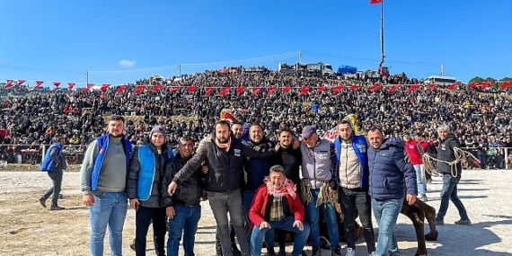 Kınık'ta bu sene 34'üncüsü düzenlenen Geleneksel Deve Güreşleri büyük ilgi gördü