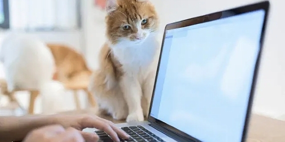 Kişisel cihaz kullanımı şirketleri riske sokuyor