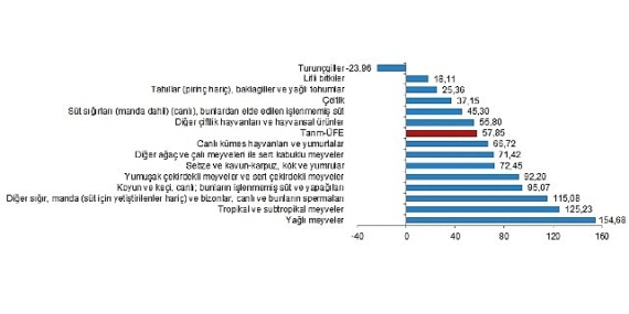 TÜİK: Tarım ürünleri üretici fiyat endeksi (Tarım-ÜFE) yıllık %57,85, aylık %3,85 arttı
