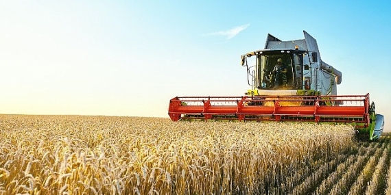 Türkiye Kalkınma ve Yatırım Bankası'ndan Türkiye Sosyal Etki Ekosisteminde bir ilk daha: Buğday Fiyatına Endeksli Sukuk İhracı