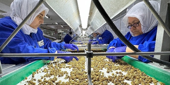 Türkiye organik ürün ihracatında 1 milyar dolar sınırını aştı yeni ihracat hedefi 2 milyar dolar