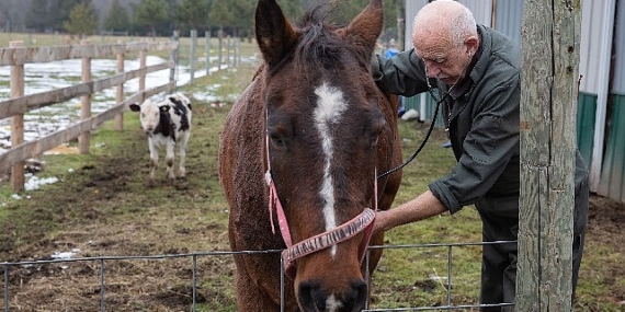 “Yetenekli Dr. Pol"un Yeni Sezonu Şubat Ayında National Geographic WILD Ekranlarında