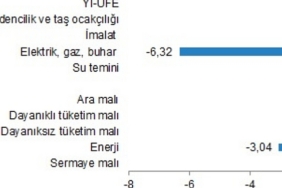 yurt-ici-uretici-fiyat-endeksi-ocak-2024.jpg