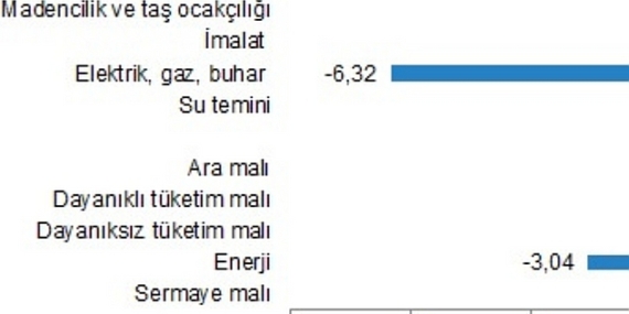 Yurt İçi Üretici Fiyat Endeksi, Ocak 2024