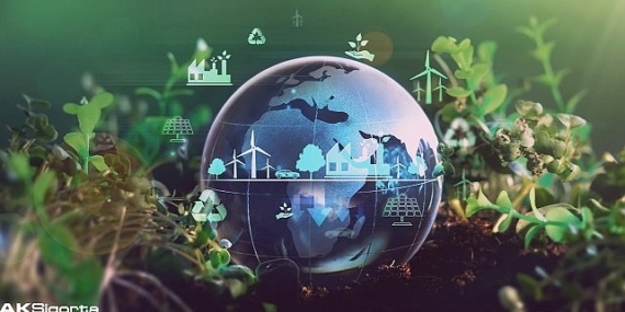 Aksigorta, TCFD Raporu'nu Yayınladı