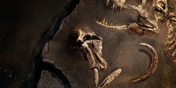 Gezegenimizde Yaşamış En Büyük Hayvanların Gizemini Konu Alan 'Kayıp Hayvanların Gizemli Geçmişi' 28 Mart Perşembe 22.00'de National Geographic Ekranlarında Başlıyor!