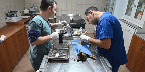 Kemer Belediyesi'nden “Can dostlarına" yardım eli