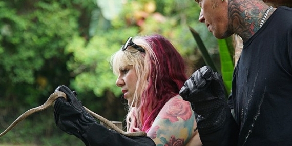 'Şehirdeki Yılanlar: Keşfedilmeyenler Özel' 16 ve 23 Mart Cumartesi 20.00'de National Geographic WILD Ekranlarında!