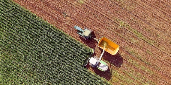 Türkiye Kalkınma ve Yatırım Bankası'ndan   Tarım ve Gıda Üretim Sektörlerine   50 Milyon Dolarlık Kredi İmkânı
