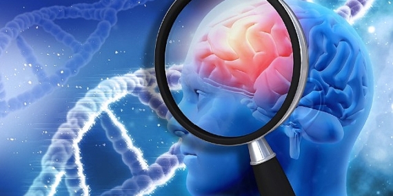 Beyin Sağlığını Güçlendiren 5 Etkili Besin