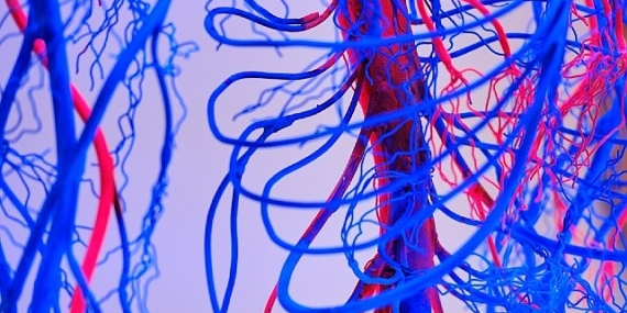 Damar Tikanıklarını Önlemenin 7 Etkili Yolu!