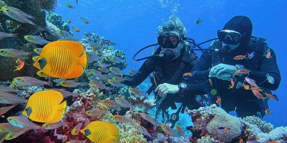 Setur, tatil severlerin Ramazan Bayramı tercihlerini açıkladı