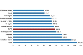 tuik-tuketici-fiyat-endeksi-tufe-yillik-%6850-aylik-316-artti.jpg