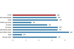 tuik-yurt-ici-uretici-fiyat-endeksi-yi-ufe-yillik-%5147-artti-aylik-329-artti.jpg
