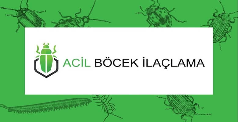 Böcek İlaçlama Fiyatları ve Anadolu Yakası'nda Hizmetler