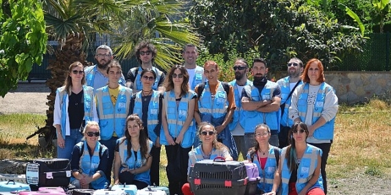 Elim Patinde” projesiyle Seferihisar’da sokak hayvanları sahipsiz değil