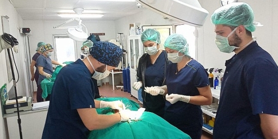 Geleceğin veteriner hekimlerine uygulamalı eğitim