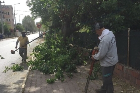 kemer-belediyesinden-yesil-alanlarda-bakim-calismalari.jpg