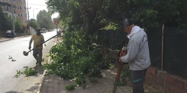 kemer-belediyesinden-yesil-alanlarda-bakim-calismalari.jpg