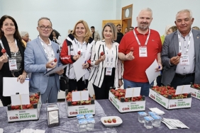 menemende-bu-yil-14-kez-gerceklestirilen-emiralem-cilek-festivali-yuz-binlerce-ziyaretcinin-bulusma-noktasi-oldu.jpg