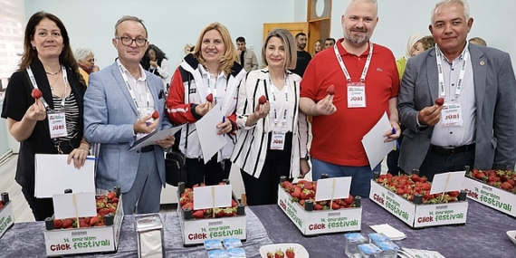 Menemen’de bu yıl 14. kez gerçekleştirilen Emiralem Çilek Festivali, yüz binlerce ziyaretçinin buluşma noktası oldu