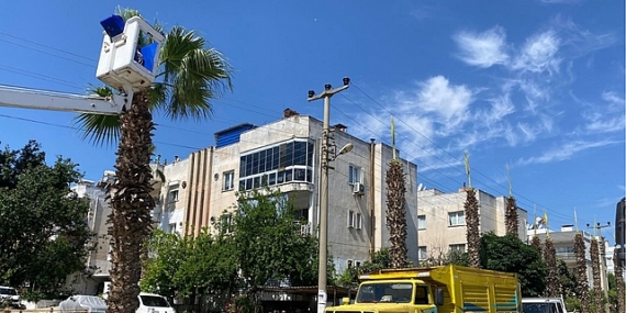 Milas Belediyesi’nin hızlı ve etkin müdahalesiyle bir fırsata dönüştü