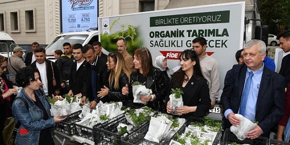 Osmangazi Belediyesi’nden vatandaşa 100 bin fide