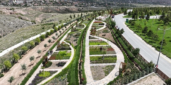 Selçuklu Belediyesi tarafından hizmete sunulan ve Seyir Tepesi içerisinde yer alan Selçuklu Koku Bahçesi rengarenk çiçekleriyle günün stresini atmaya gelen ziyaretçilerini karşılamaya hazır