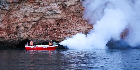 Vektörel mücadele hem denizden hem karadan sürüyor