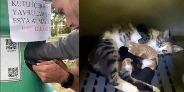 yavru-kedileri-buca-belediyesi-ekipleri-kurtardi.jpg