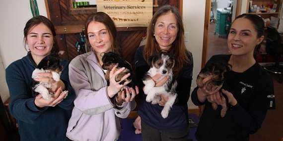 'Yukon Veterineri: Kadınların Öyküleri Özel' 8 Mayıs Çarşamba Günü 20.00'de National Geographic WILD Ekranlarında!