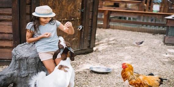 Ballıca Gayrimenkul