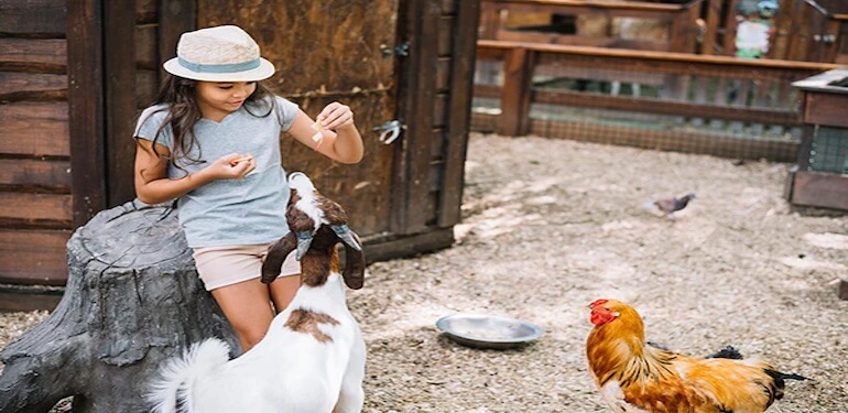 Ballıca Gayrimenkul